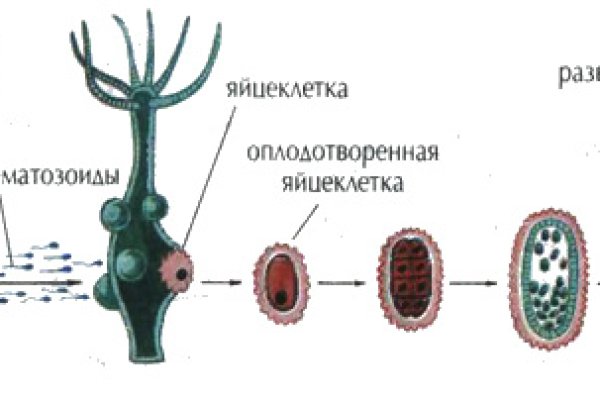 Kra27.at